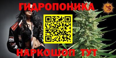 гашик Коммунар