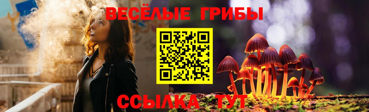 Галлюциногенные грибы прущие грибы Ярославль